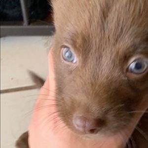 Meet your Posher, Jose